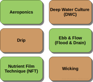 Hydroponic Types