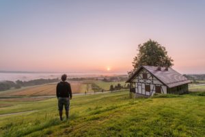 looking over pasture