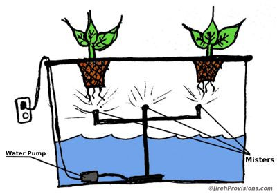 Hydroponics Aeroponics Method