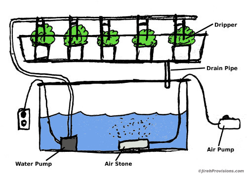 Hydroponics Drip Method