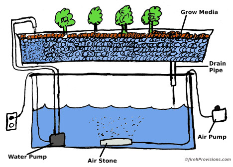 Hydroponics Ebb And Flow Method