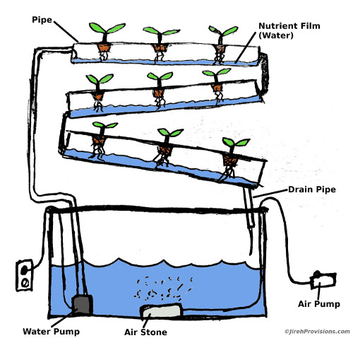 Hydroponics Nutrient Film Technique Method