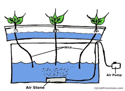 Hydroponics Wick Method