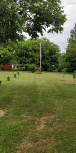 Light pole in an access easement