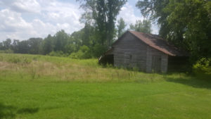 Barn in the field