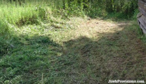 Cut Grass next to barn