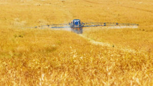 wheat spraying