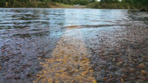 Flooded Road