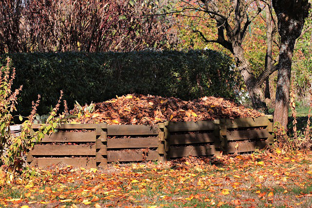 pile of yard debris, leaves, composting in wooden bin