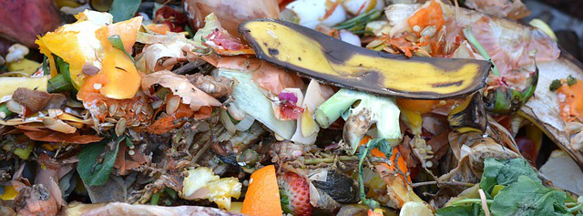 food scraps and compost